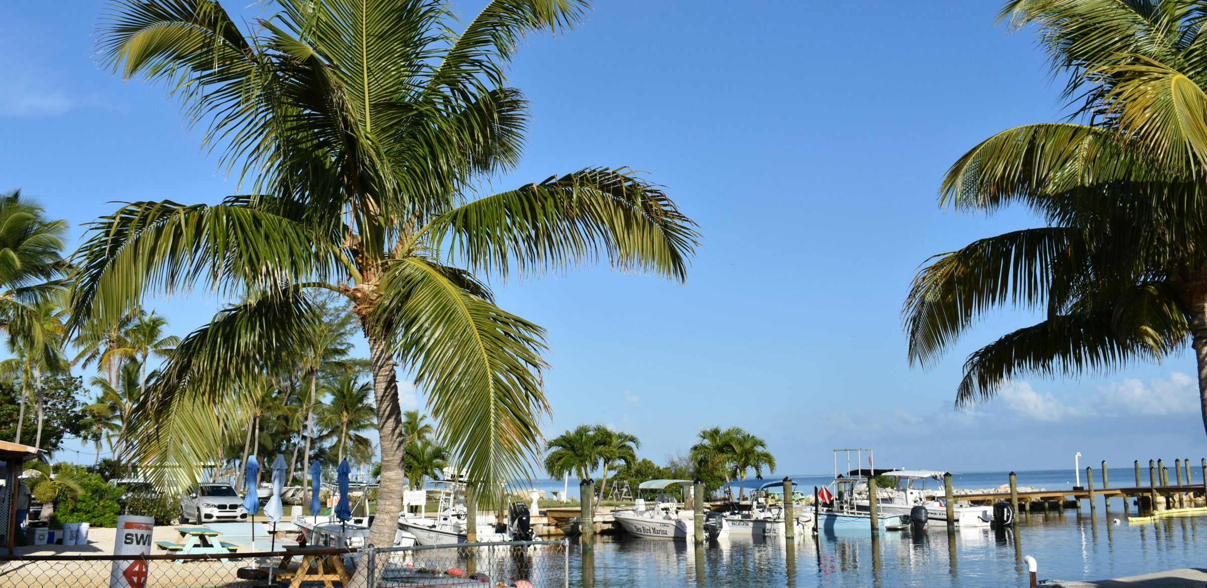 Sea Bird Marina Florida Keys crystal turquoise waters and boat docks